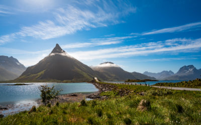 Fireflies on the Brain? How Nature Can Unlock Unstoppable Happiness