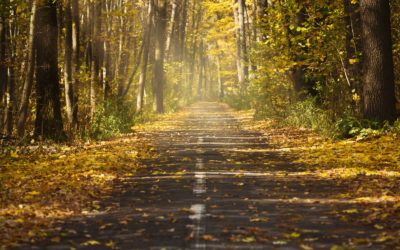 Autumn Equinox Rituals To Help You Improve Your Manifestation