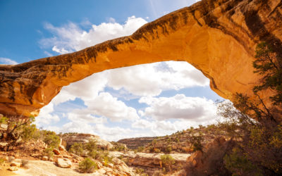 Your body’s INSTANT happiness switch