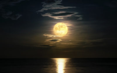 4 Ways To Make the Most Out of the New Moon in Sagittarius♐️