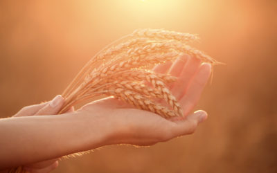 What’s your Abundance Vibe? 😌