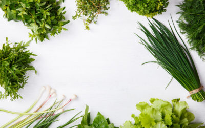 9 Immune Boosting Healing Herbs and Spices