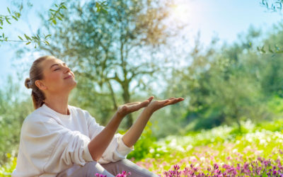 Law of Vibration and Attraction: How to Use these Laws to Manifest Your Desires