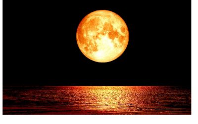 Prepare for The Full Moon in Leo: January 28th