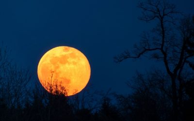 The Full Moon in Virgo – A Chance to Balance Productivity with Relaxation
