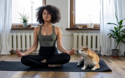 Law of Attraction Scripting: Write How You Want Your Life to Play Out