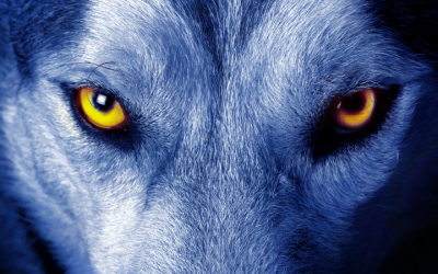 What Your Spirit Animals Say About You