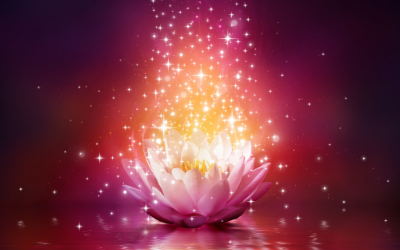 Flower Medicine: The Healing Vibrations of Flower Essences