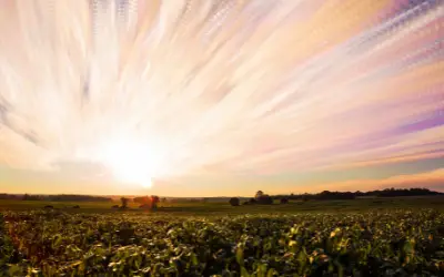 Harness the Vibration of Abundance in 3 Easy Ways