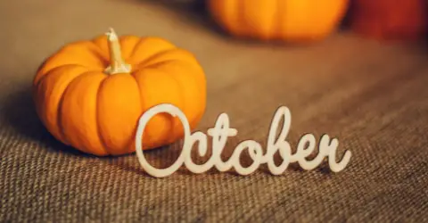 A Magical October New Moon to Connect with Abundance Consciousness