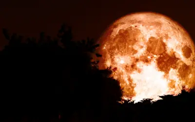 Harness the Full Moon Energy this October 20 and Manifest Your Desires