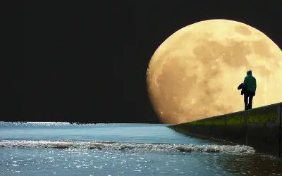 Recharge, Reset, and Manifest Magic this New Moon — October 6