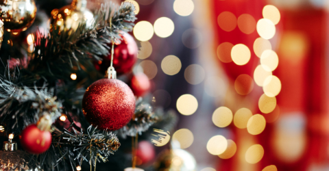 Holiday Vibration: How to Keep Yourself Grounded this Holiday Season