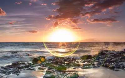 Happy Spring Equinox: Cultivate Balance and New Beginnings