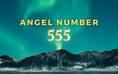 Angel Number 555 Revealed: What Does it Mean in Love, Career, and Wealth?