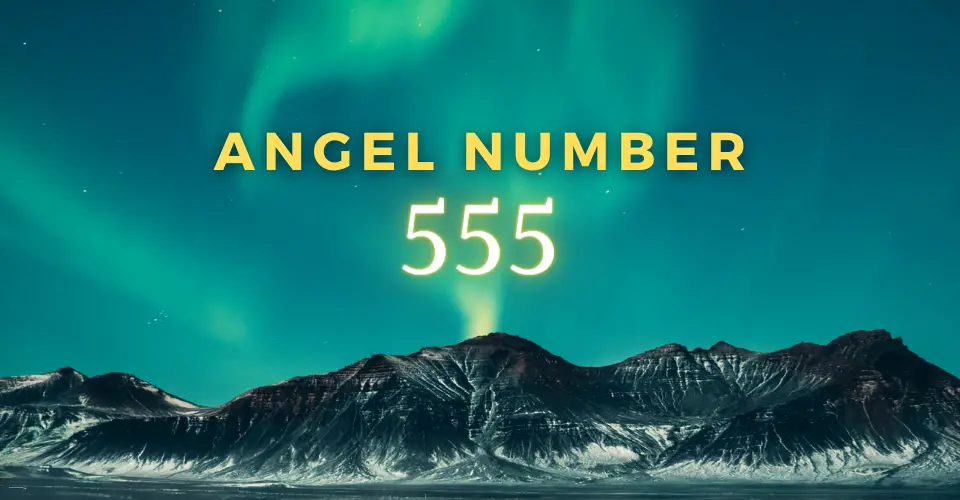 Angel Number 555 Revealed: What Does it Mean in Love, Career, and Wealth?