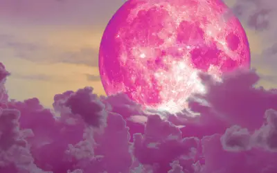 The Pink Moon of 2023 and How it Impacts all Zodiac Signs