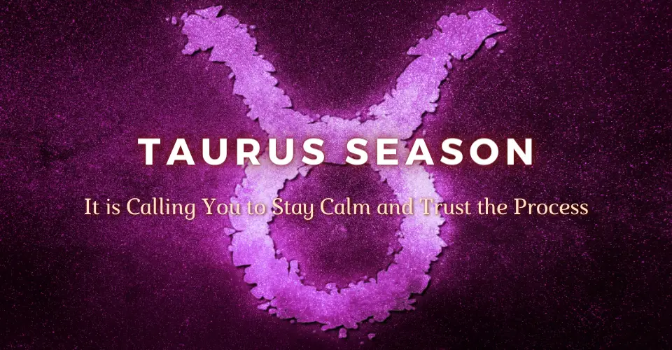 Taurus Season It is Calling You to Stay Calm and Trust the Process