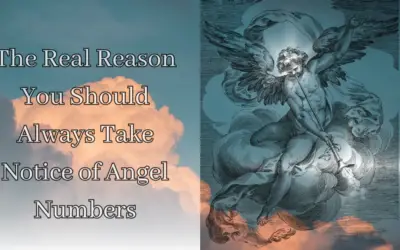 The Real Reason You Should Always Take Notice of Angel Numbers 