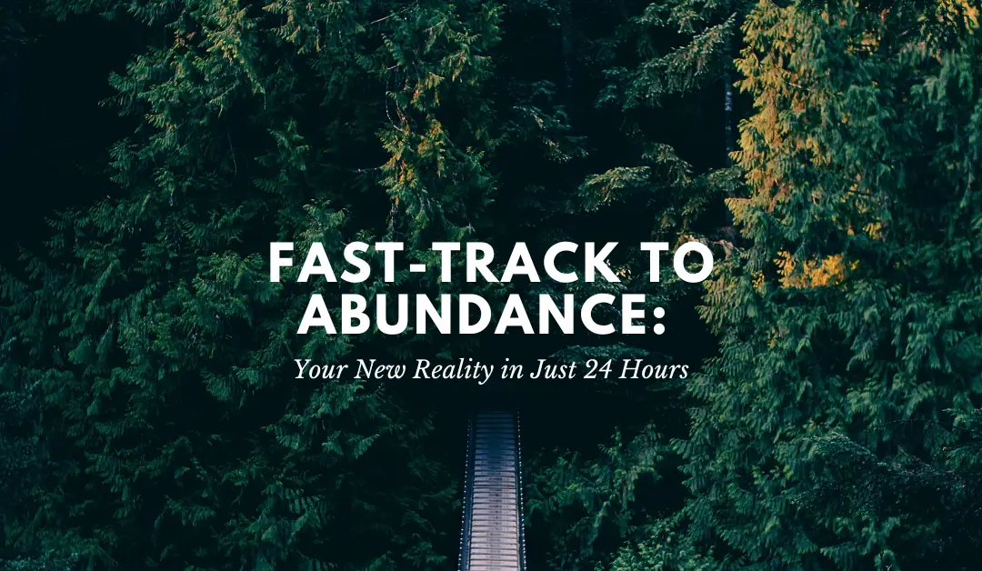 Fast-Track to Abundance: Your New Reality in Just 24 Hours