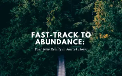 Fast-Track to Abundance: Your New Reality in Just 24 Hours