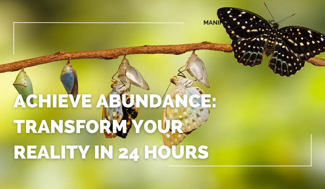 Achieve Abundance: Transform Your Reality in 24 Hours