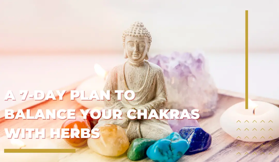 A 7-day plan to Balance your Chakras with Herbs
