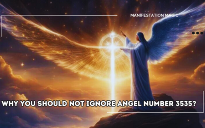 Why You Should Not Ignore Angel Number 3535?