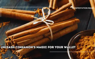 Unleash Cinnamon’s Magic for Your Wallet