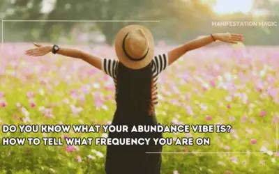 Do you Know What your Abundance Vibe is? How to Tell What Frequency you are On